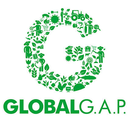 Certyfikat GLOBAL G.A.P.