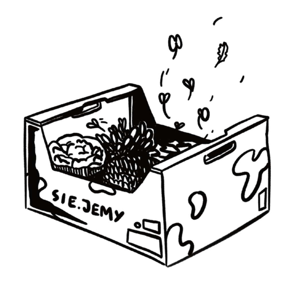 Pudełko SIEJEMY z mikrozieleniami