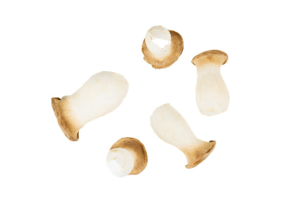 Prywatne: Grzyby – Boczniak mikołajkowy 0,5 kg