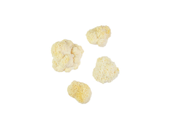 Prywatne: Grzyby – Soplówka 0,5kg