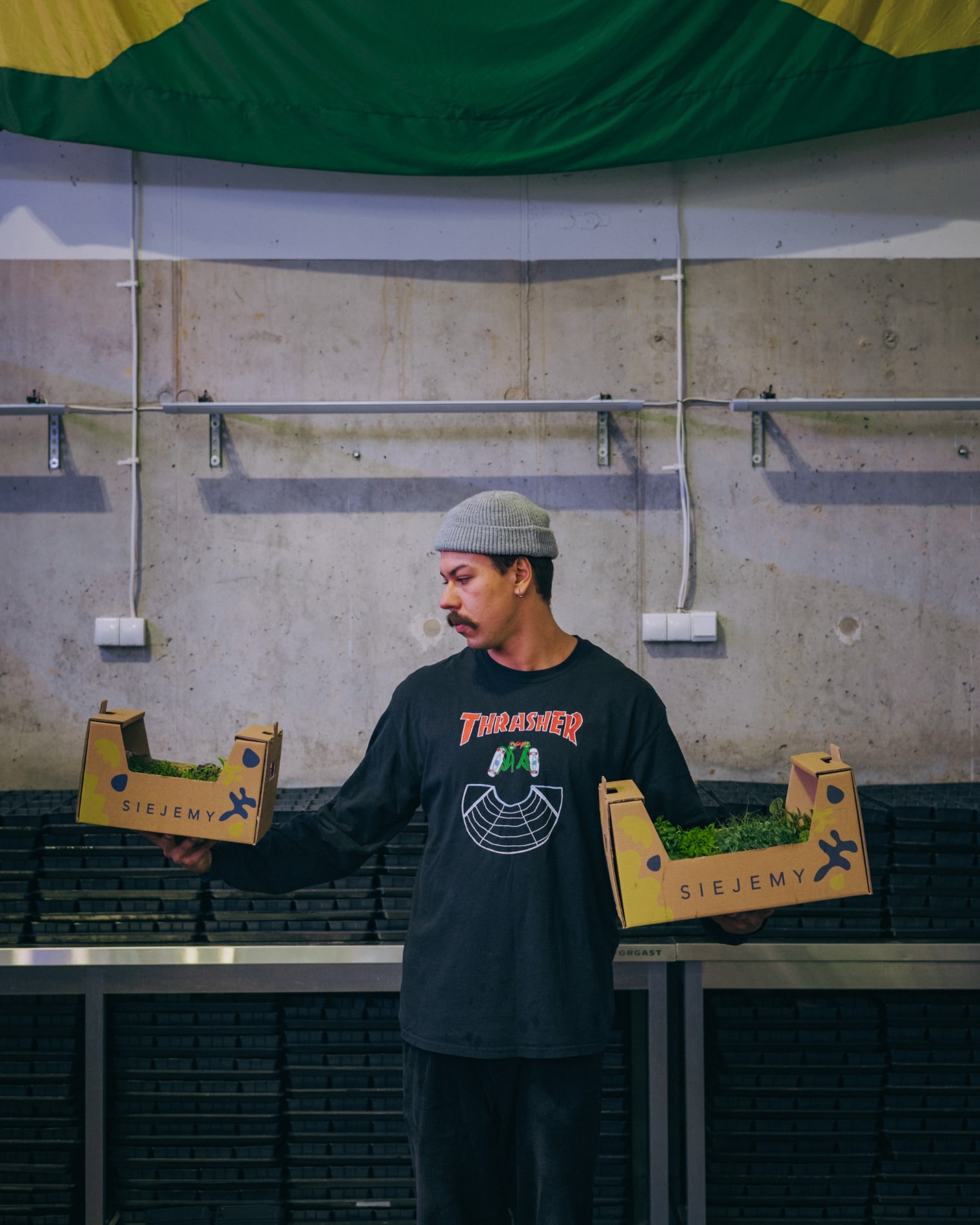 Na zdjęciu założyciel firmy Siejemy prezentuje mikroliście, która można kupić w Siejemy w Bielsku Białej.